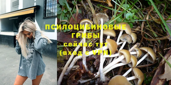 гидропоника Белоозёрский