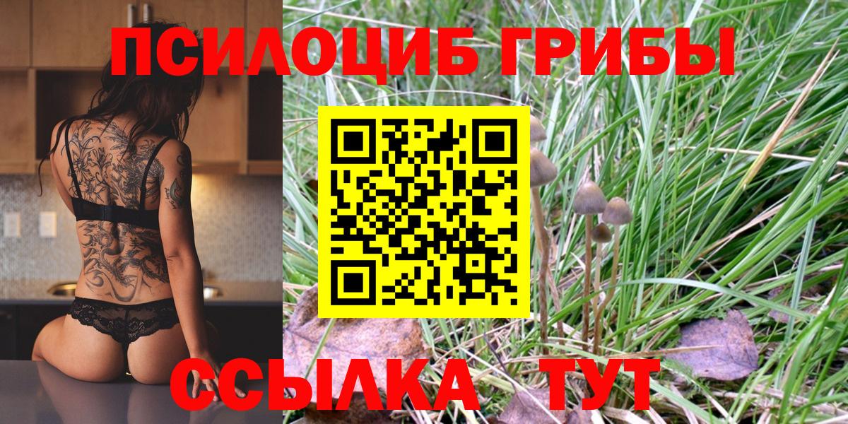 Галлюциногенные грибы GOLDEN TEACHER  Галлюциногенные грибы Psilocybine cubensis  Донской  Вход с VPN 