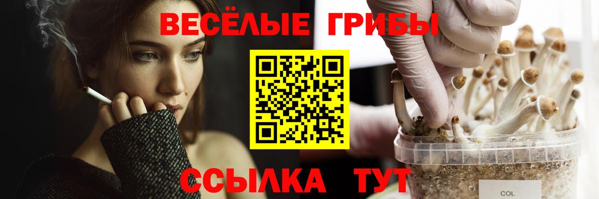 Псилоцибиновые грибы прущие грибы Донской