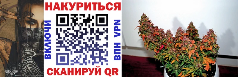 Купить закладки  Донской  Каннабис сатива 